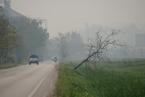 Sumatra brennt - S�dthailand bekommt den Rauch ab - Reisenews Thailand - Symbolfoto 1