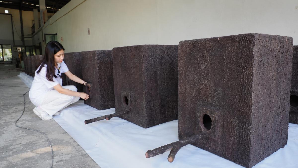 Thailändische Schülerin gewinnt internationale Umweltpreise - Junge Naturschützerin macht Plastikmüll zu einem Zuhause für bedrohte Vögel Symbolfoto 1