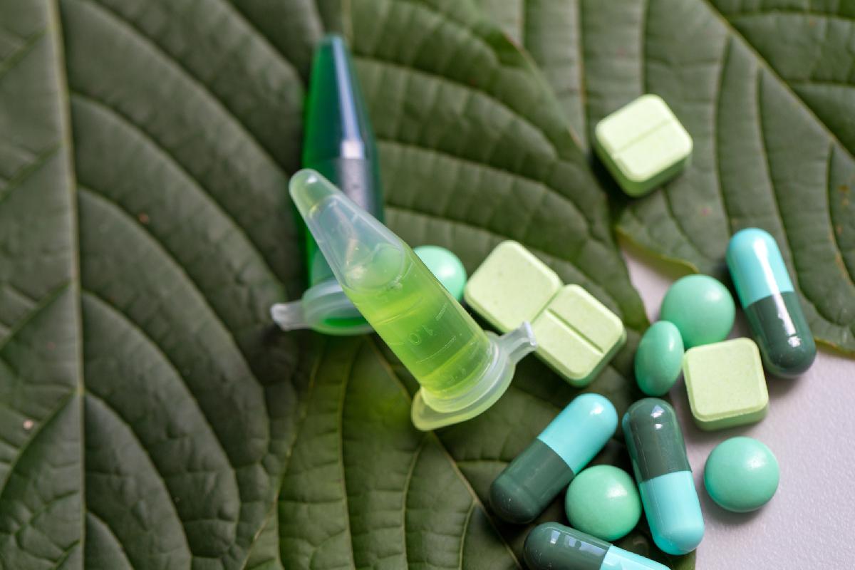 Thailändische Volksdroge Kratom - Grüne Blätter mit großer Wirkung: Kratom und seine Rolle in Thailand Symbolfoto 4