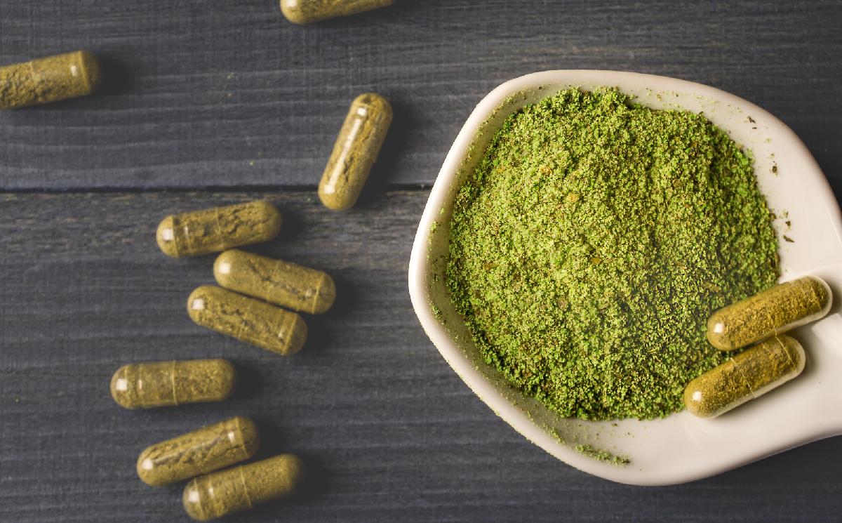 Thailändische Volksdroge Kratom - Grüne Blätter mit großer Wirkung: Kratom und seine Rolle in Thailand Symbolfoto 2