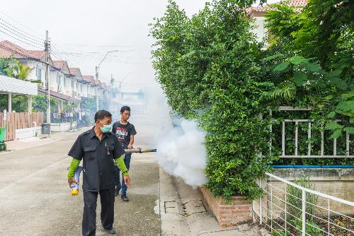 Dengue-Warnung vom thailndischen Gesundheitsminister - Reisenews Thailand - Bild 1