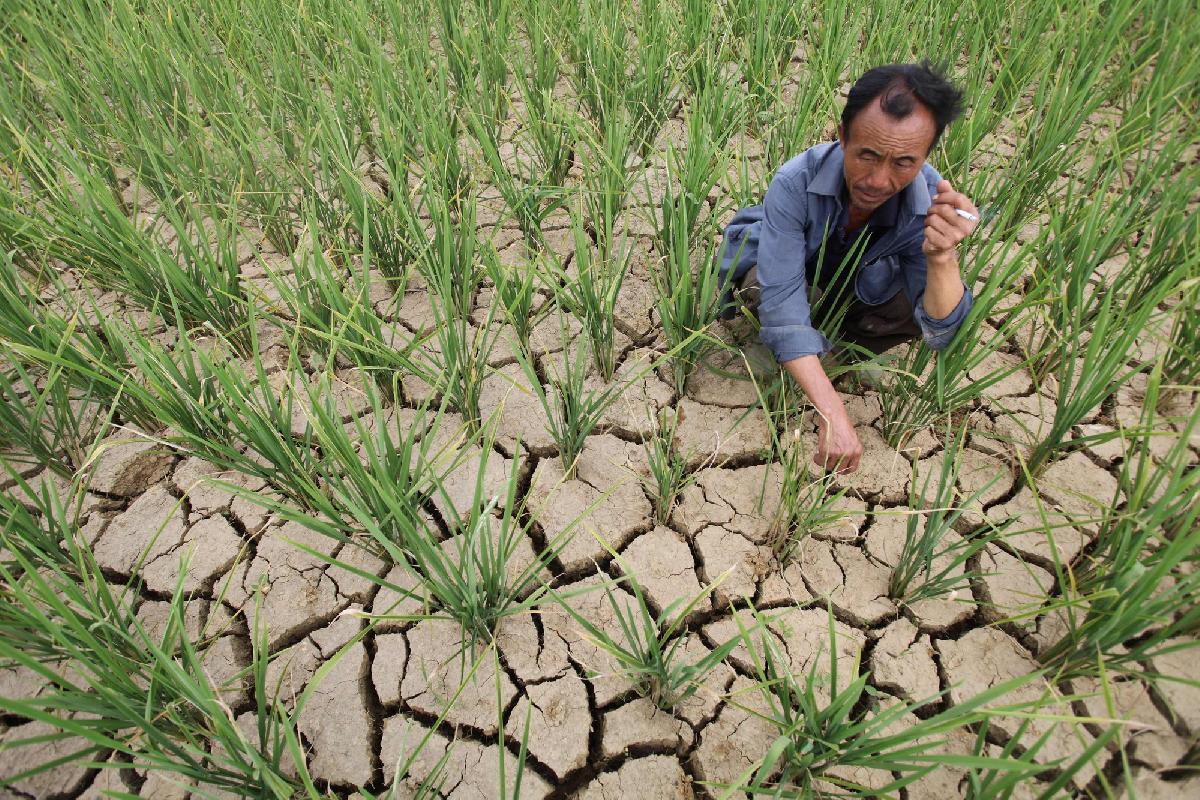 Thailand bereitet sich auf extreme Hitze und Dürre vor - Droht Südostasien ein Super-El Niño? Symbolfoto 2