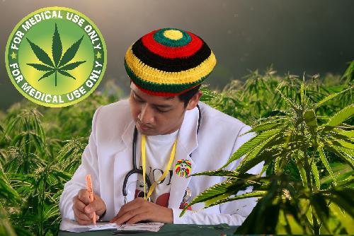 Thailand und das lustige Hin und Her mit Cannabis - Ein ironischer Blick auf die sich stetig beschleunigenden Kehrtwenden 😜 Bild Thailand und das lustige Hin und Her mit Cannabis