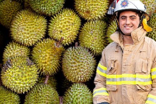 Bild Thailands edle Stinkfrucht sorgt abermals fr Rettungsaktionen