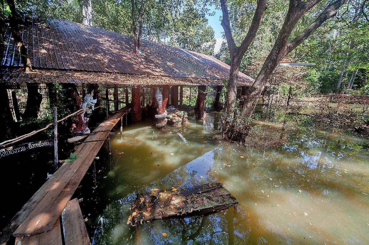 Thailands Überschwemmungen - Zahl der Todesopfer steigt auf 60 - Klimastress - Hitze, Starkregen und immer neue Überschwemmungen Symbolfoto 4