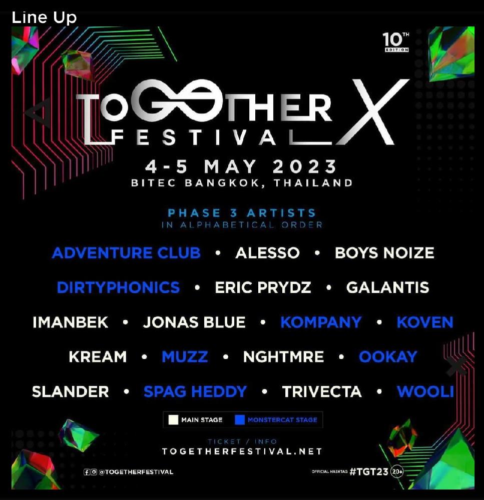 Together Festival 2023 - die krasseste EDM-Show Bild 1
