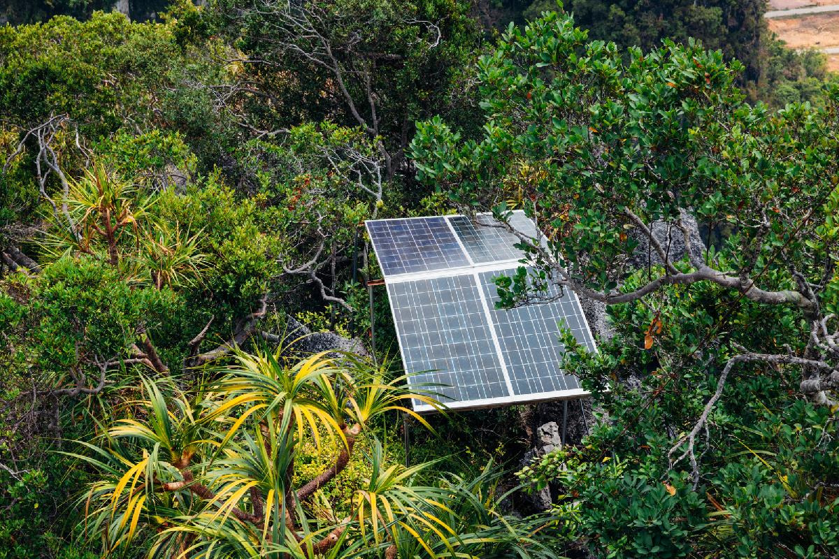 Toll - Thailand macht bei der Energiewende Nägel mit Köpfen - Regierung setzt auf Sonne: 1 Mio. Haushalte sollen Strom produzieren Symbolbild 5