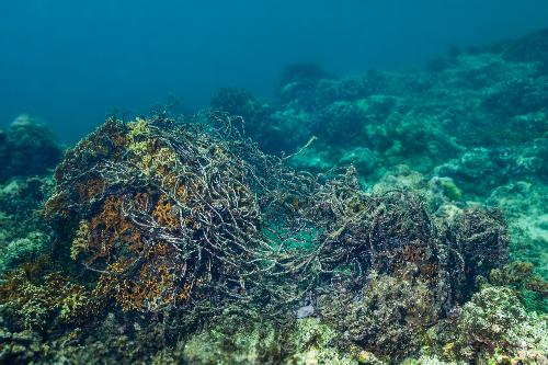 Bild Touristenboot beschdigt Korallenriff bei Koh Kradan