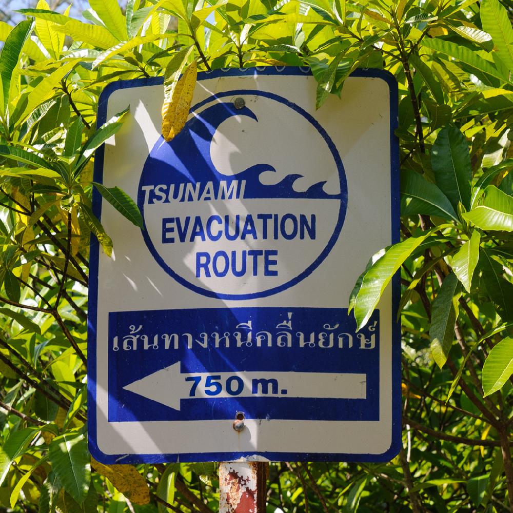 Tsunami-Evakuierungsübung auf Phuket - Am 20. Juli findet eine Testübung auf der Ferieninsel statt Bild 1