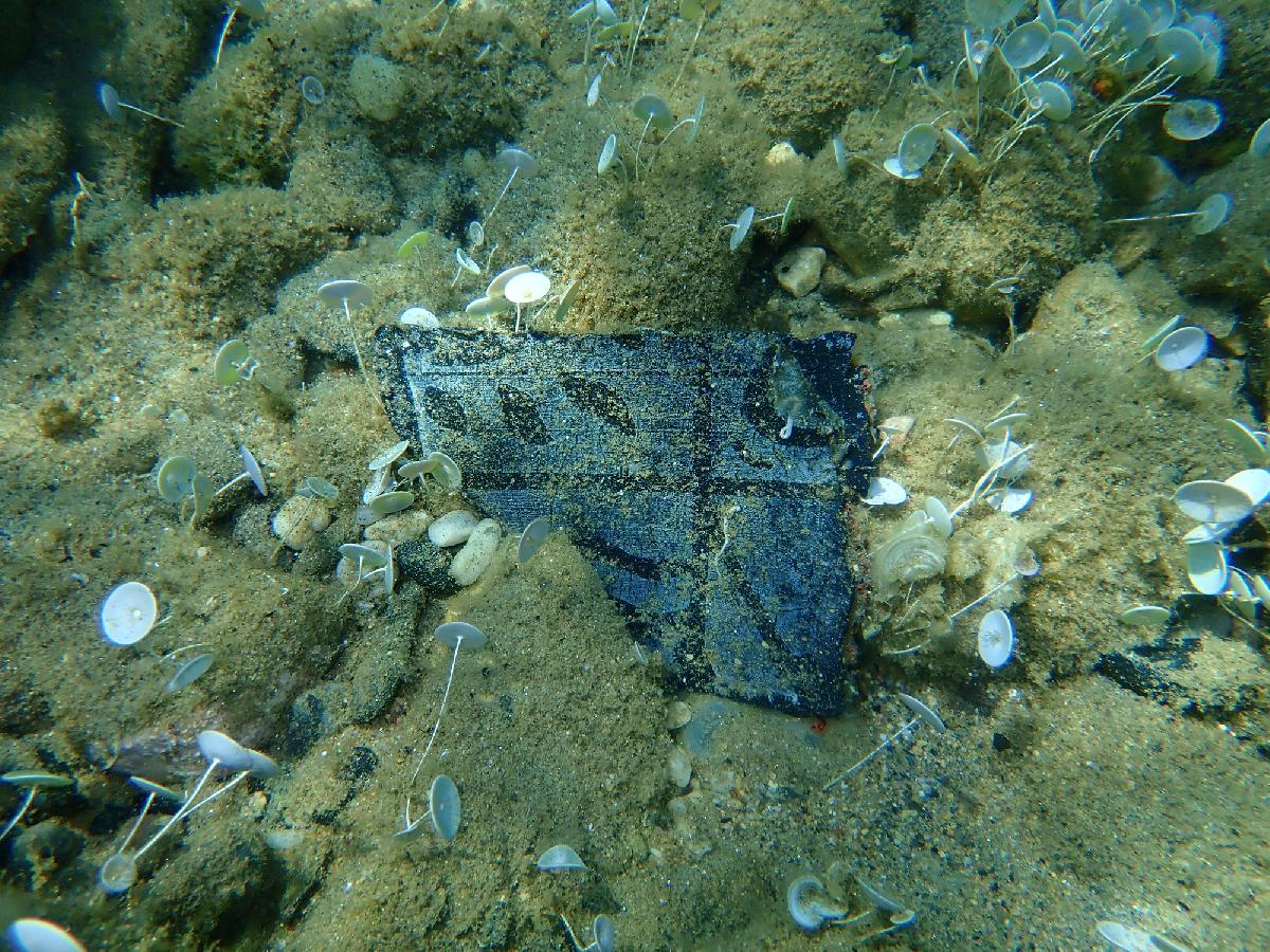 Unterwasser-Cleanup vor Kata Beach Phuket - Fast 600 Kilo Netze & Anker aus dem Meer entfernt Symbolfoto 1