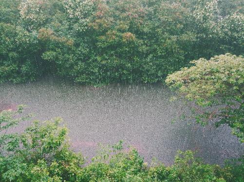 Unwetterwarnungen -  Taifun Noru kommt - Reisenews Thailand - Bild 2