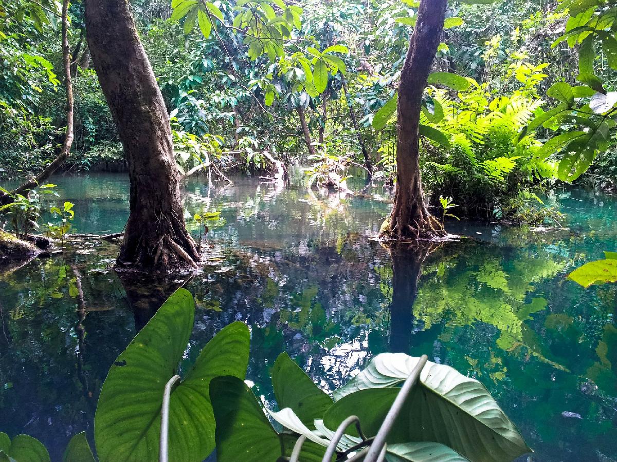 Vom Dorfteich zur Weltsensation - Riesensaurier in Thailand entdeckt - Saurus Nagatitan - 27 Meter lang und so schwer wie neun Elefanten Symbolfoto 2