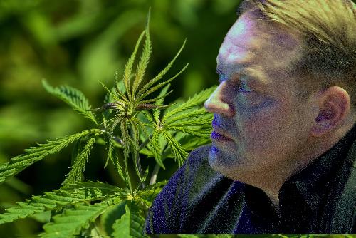 VW Manager reist mit thailändischem Cannabis im Blut nach China - Verstoß gegen Drogen-Gesetze oder politisches Manöver? Bild VW Manager reist mit thailändischem Cannabis im Blut nach China
