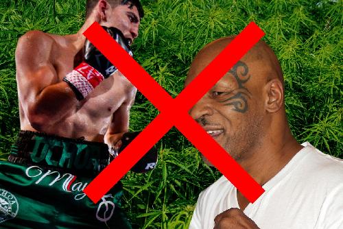 Bild Weed Boxing Championship auf Samui kurzfristig abgesagt