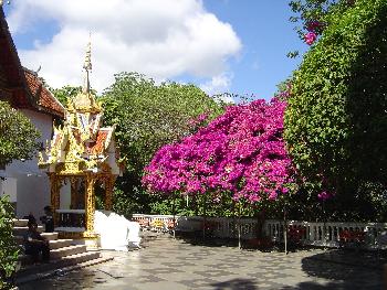 Zoom Tempel Wat Doi Suthep Chiang Mai