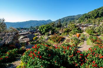 Zoom Doi Pui Village Sehenswertes Chiang Mai - 1