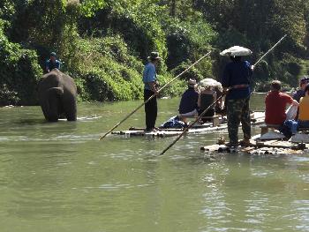 Zoom Elefanten im Fluss - Flösser