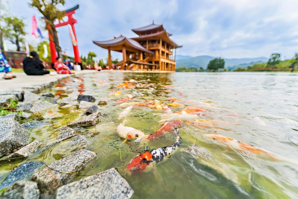 Hinoki Land Sehenswertes Chiang Mai 0