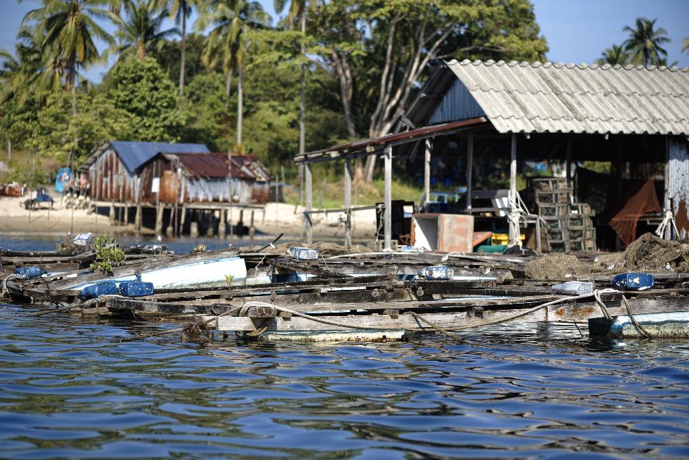 Koh Phra Thong Khao Lak 0