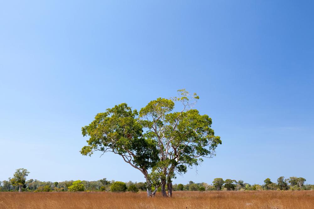 Koh Phra Thong Khao Lak 0