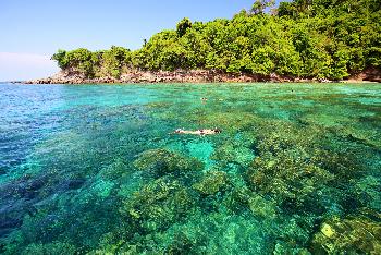 Zoom  Koh Rok Krabi - 2