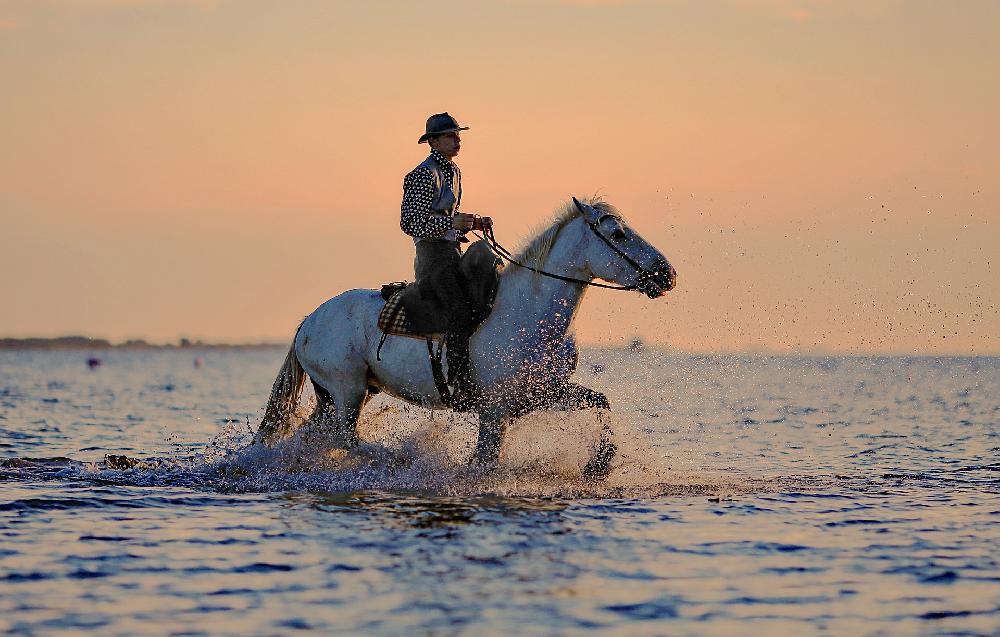 Pferdesport - Reiten in Pattaya