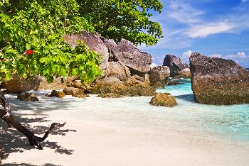 Zoom  Similan Islands Khao Lak - 3