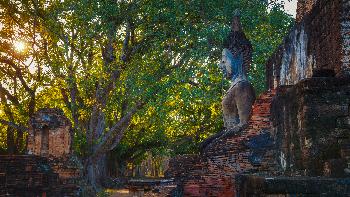 Zoom Sukhothai Provinz Sukhothai Bild 4