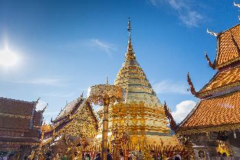 Zoom Tempel Sehenswertes Chiang Mai - 1