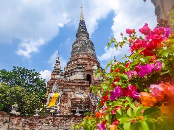 Zoom  Touren Ayutthaya - 2