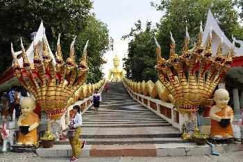 Zoom  Touren Pattaya - 1