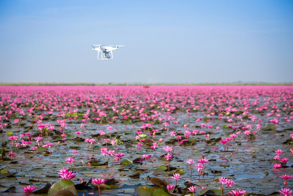 Wilde Natur Sehenswertes Nakhon Sawan 0
