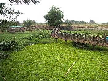 Reiseziele Wilde Natur Nakhon Sawan - Naturerlebnisse und Abenteuer in Nakhon Sawan Wilde Natur Nakhon Sawan - Naturerlebnisse und Abenteuer in Nakhon Sawan