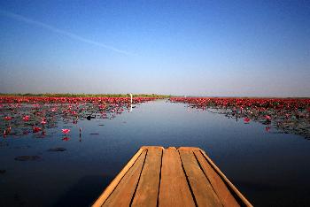 Zoom Wilde Natur Sehenswertes Nakhon Sawan - 1