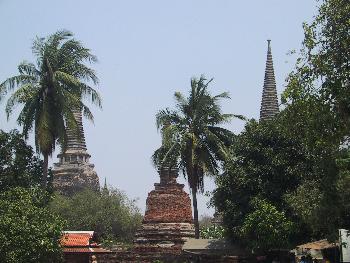 Zoom Wat Mahathat Sehenswertes Ayutthaya - 3
