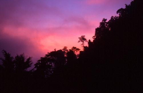Am Abend in Chiang Mai - Bild 1