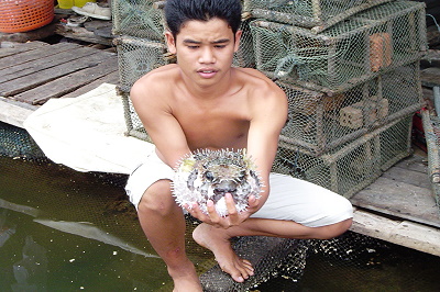 Krabi - Markt und Tempel(3/5)