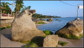 Ferien am Lamai-Beach - Bild 4