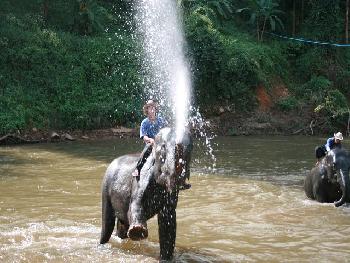 Maetaman Elephant Park - Bild 4