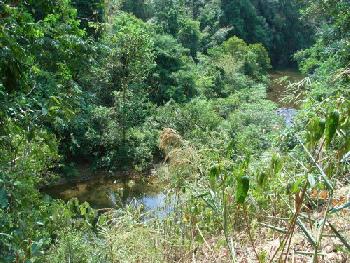 Wandern und Elefantentrek - Khao Sok - Bild 3