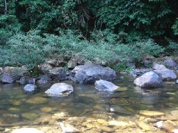 Wandern und Elefantentrek - Khao Sok - Bild 5