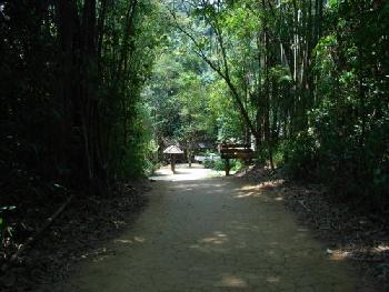 Wandern und Elefantentrek - Khao Sok - Bild 6