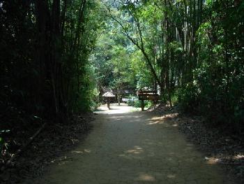 Wandern und Elefantentrek - Khao Sok - Bild 6