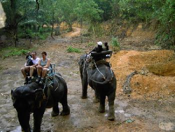 Wandern und Elefantentrek - Khao Sok - Bild 11