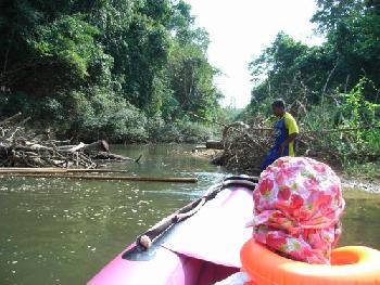 Kanufahrt entlang des Kho Sok Nationalparks - Bild 1