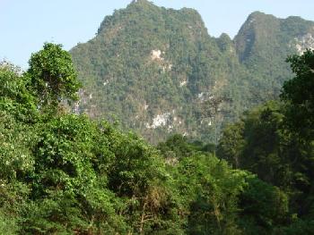 Kanufahrt entlang des Kho Sok Nationalparks - Bild 5