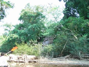 Kanufahrt entlang des Kho Sok Nationalparks - Bild 7