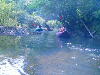 Kanufahrt entlang des Kho Sok Nationalparks - Bild 14