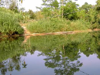 Kanufahrt entlang des Kho Sok Nationalparks - Bild 19