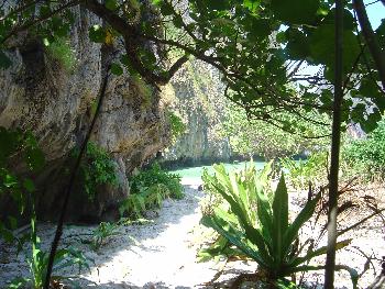 KOH PHI PHI - Bild 1